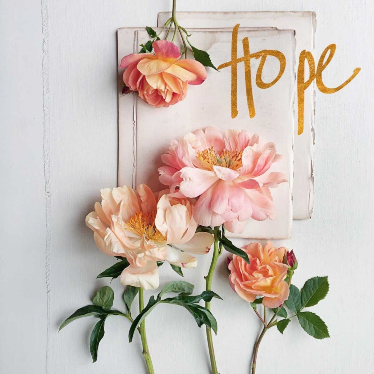 Tender Sentiment III Poster Print by Sarah Gardner - Item # VARPDX11437R